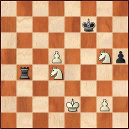 chess24 - Ding Liren wins Rook vs. Knight against Topalov